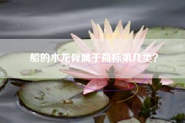 船的木龙骨属于商标第几类? 船的木龙骨属于商标第几类?