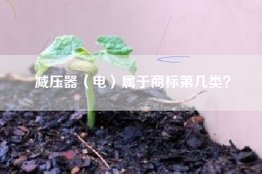 减压器(电)属于商标第几类? 减压器(电)属于商标第几类?