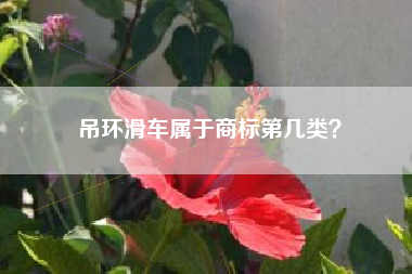 吊环滑车属于商标第几类? 吊环滑车属于商标第几类?