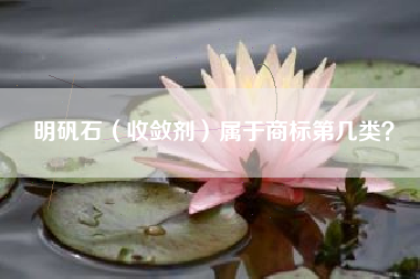 明矾石(收敛剂)属于商标第几类? 明矾石(收敛剂)属于商标第几类?