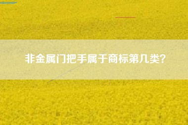 非金属门把手属于商标第几类? 非金属门把手属于商标第几类?