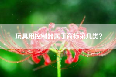 玩具用控制器属于商标第几类? 玩具用控制器属于商标第几类?