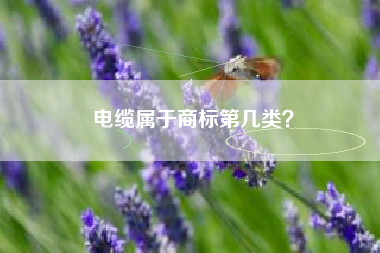 电缆属于商标第几类? 电缆属于商标第几类?