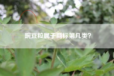 豌豆粒属于商标第几类? 豌豆粒属于商标第几类?