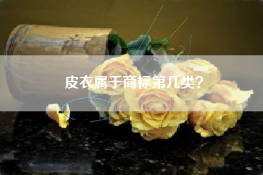 皮衣属于商标第几类? 皮衣属于商标第几类?