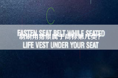 制刷用猪鬃属于商标第几类? 制刷用猪鬃属于商标第几类?