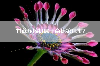 甘蔗压榨机属于商标第几类? 甘蔗压榨机属于商标第几类?