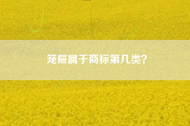 笼屉属于商标第几类? 笼屉属于商标第几类?