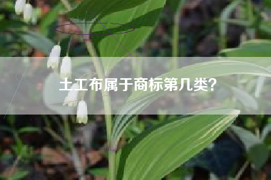 土工布属于商标第几类? 土工布属于商标第几类?