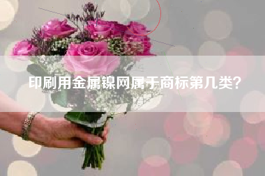 印刷用金属镍网属于商标第几类? 印刷用金属镍网属于商标第几类?