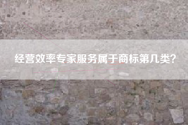 经营效率专家服务属于商标第几类? 经营效率专家服务属于商标第几类?