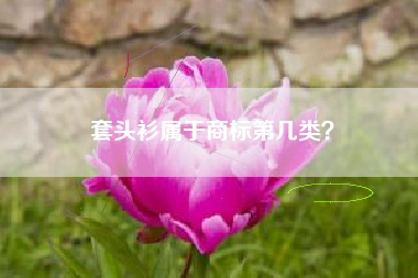 套头衫属于商标第几类? 套头衫属于商标第几类?