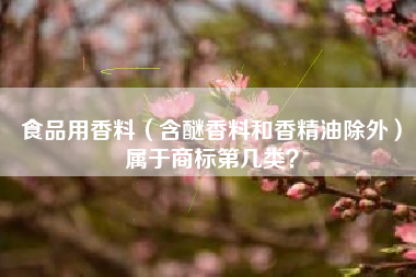 食品用香料(含醚香料和香精油除外)属于商标第几类? 食品用香料(含醚香料和香精油除外)属于商标第几类?