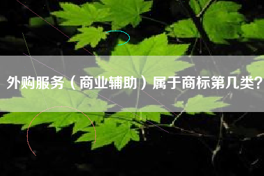 外购服务(商业辅助)属于商标第几类? 外购服务(商业辅助)属于商标第几类?