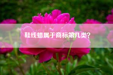 鞋线蜡属于商标第几类? 鞋线蜡属于商标第几类?