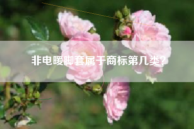 非电暖脚套属于商标第几类? 非电暖脚套属于商标第几类?