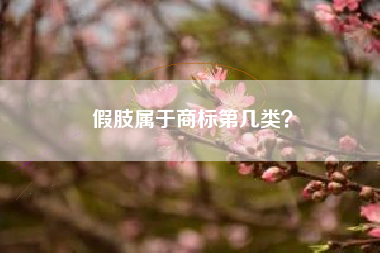 假肢属于商标第几类? 假肢属于商标第几类?