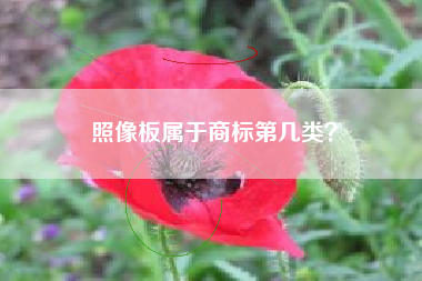 照像板属于商标第几类? 照像板属于商标第几类?