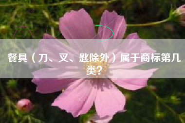 餐具(刀、叉、匙除外)属于商标第几类? 餐具(刀、叉、匙除外)属于商标第几类?