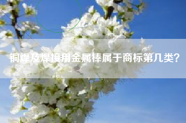 铜焊及焊接用金属棒属于商标第几类? 铜焊及焊接用金属棒属于商标第几类?