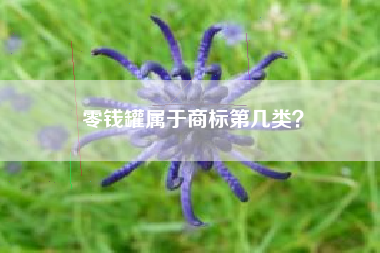 零钱罐属于商标第几类? 零钱罐属于商标第几类?