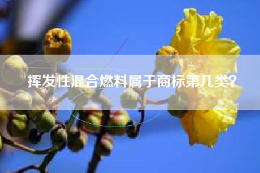 挥发性混合燃料属于商标第几类? 挥发性混合燃料属于商标第几类?