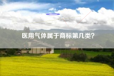 医用气体属于商标第几类? 医用气体属于商标第几类?