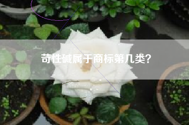 苛性碱属于商标第几类? 苛性碱属于商标第几类?