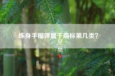 练身手榴弹属于商标第几类? 练身手榴弹属于商标第几类?
