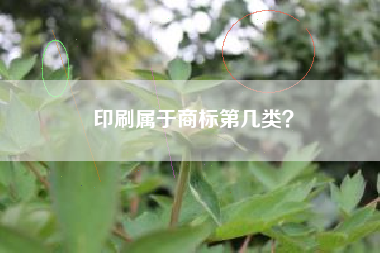 印刷属于商标第几类? 印刷属于商标第几类?