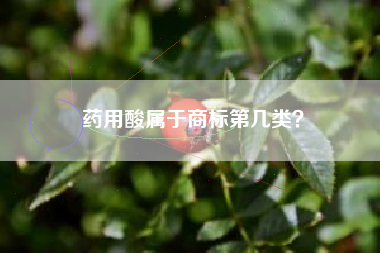 药用酸属于商标第几类? 药用酸属于商标第几类?