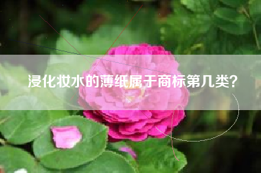 浸化妆水的薄纸属于商标第几类? 浸化妆水的薄纸属于商标第几类?