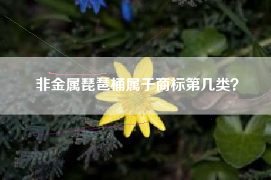 非金属琵琶桶属于商标第几类? 非金属琵琶桶属于商标第几类?