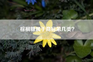 棕榈糖属于商标第几类? 棕榈糖属于商标第几类?