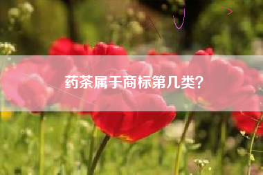 药茶属于商标第几类? 药茶属于商标第几类?