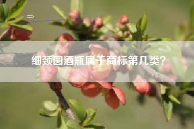 细颈圆酒瓶属于商标第几类? 细颈圆酒瓶属于商标第几类?