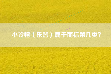 小铃帽(乐器)属于商标第几类? 小铃帽(乐器)属于商标第几类?