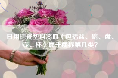 日用搪瓷塑料器皿(包括盆、碗、盘、壶、杯)属于商标第几类? 日用搪瓷塑料器皿(包括盆、碗、盘、壶、杯)属于商标第几类?