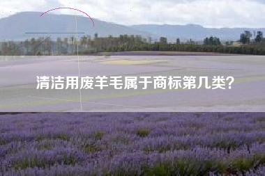 清洁用废羊毛属于商标第几类? 清洁用废羊毛属于商标第几类?