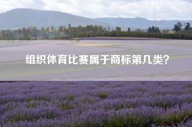 组织体育比赛属于商标第几类? 组织体育比赛属于商标第几类?