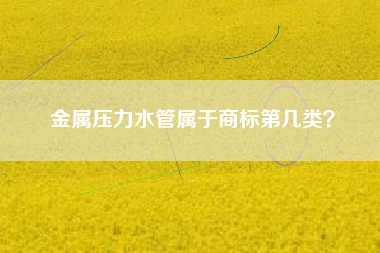金属压力水管属于商标第几类? 金属压力水管属于商标第几类?