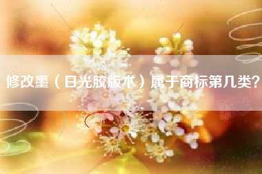 修改墨(日光胶版术)属于商标第几类? 修改墨(日光胶版术)属于商标第几类?