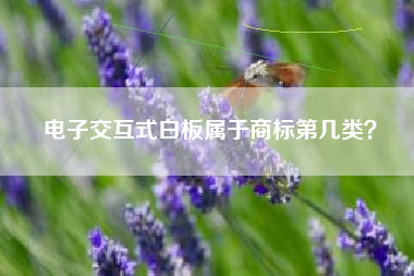 电子交互式白板属于商标第几类? 电子交互式白板属于商标第几类?