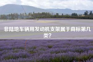 非陆地车辆用发动机支架属于商标第几类? 非陆地车辆用发动机支架属于商标第几类?