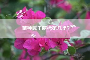 菌种属于商标第几类? 菌种属于商标第几类?