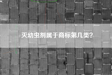 灭幼虫剂属于商标第几类? 灭幼虫剂属于商标第几类?