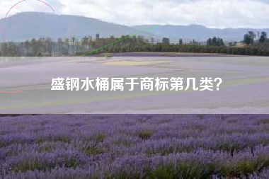 盛钢水桶属于商标第几类? 盛钢水桶属于商标第几类?