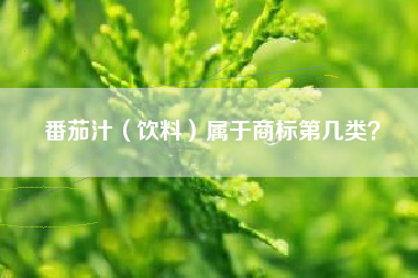 番茄汁(饮料)属于商标第几类? 番茄汁(饮料)属于商标第几类?