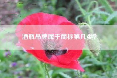 酒瓶吊牌属于商标第几类? 酒瓶吊牌属于商标第几类?