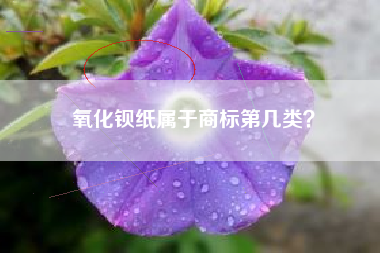 氧化钡纸属于商标第几类? 氧化钡纸属于商标第几类?